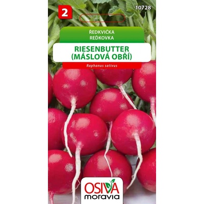 Osiva Moravia Ředkvička Riesenbutter Máslová obří