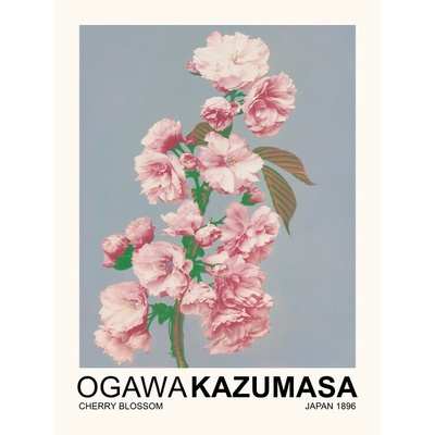 Plagát, Obraz - Cherry Blossom (Japandi Florals) - Ogawa Kazumasa, 30 × 40 cm