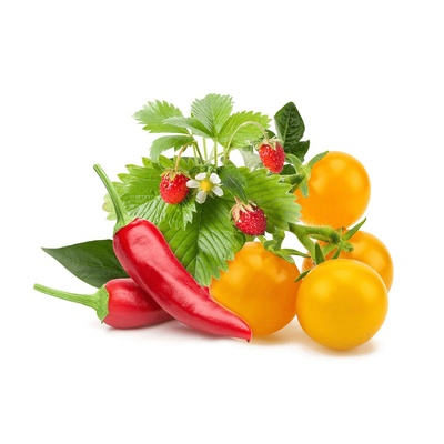 Click & Grow Семена Click and Grow Плодове и зеленчуци микс, 9 броя (PPMFVX9)