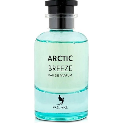 Volare artic breeze parfémovaná voda unisex 100 ml