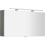 SAPHO Cloe - Огледален шкаф с LED осветление 100x50x18 см, сребрист дъб CE100-0011 (CE100-0011)