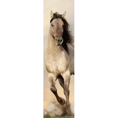 3D záložka - Kôň (Stallion)