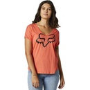 Fox Boundary Flamingo