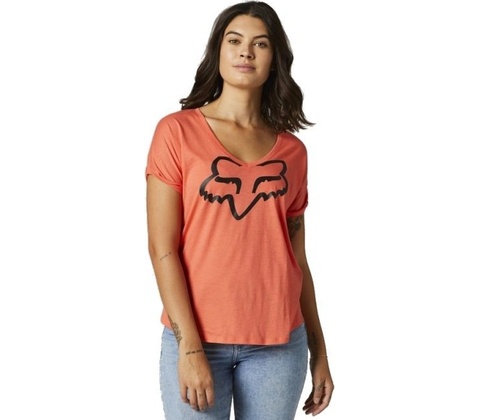 Fox Boundary Flamingo
