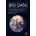 Big Data Clegg Brian