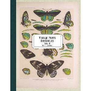 Vintage Prints: Butterflies: Vol. 3 | E. Lawrence (ISBN: 9781720748830)