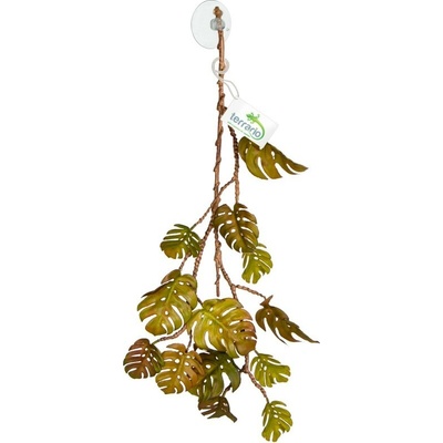 Terrario Závesná monstera 70 cm