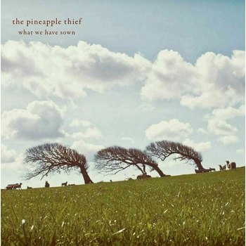 The Pineapple Thief - What We Have Sown (2 LP) (0802644800813)