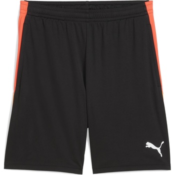 PUMA Individualliga training shorts 2 m