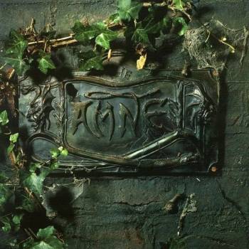 Image 1 of The Damned - The Black Album (2 LP) (029667433419)