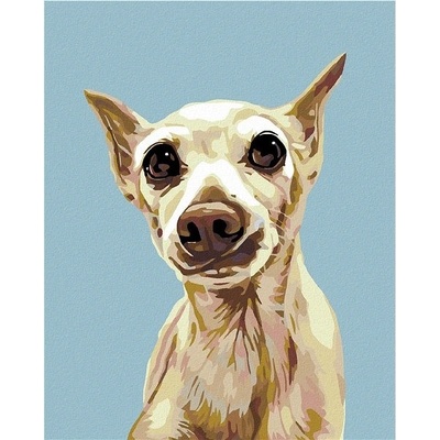 zuty Malování podle čísel Vyděšený pejsek 40 x 50 cm vypnuté plátno na rám