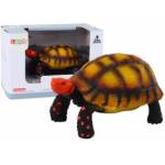 LEAN Toys Collectible Figurine Turtle Reptile Brown Black C