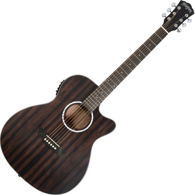 Washburn DFEACE-U Striped Ebony Други електро-акустични китари