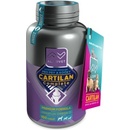 Cartilan complete 100 tbl