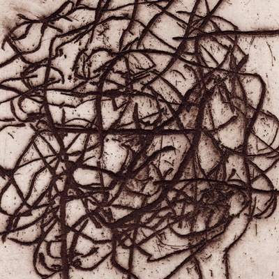 K. Leimer and Marc Barreca - ARRHYTHMIAN Vinyl