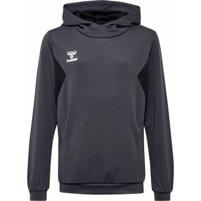 Hummel HML Authentic Pl Hoodie Kids 219977-1525