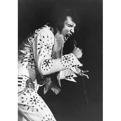 Plagát, Obraz - Elvis Presley, 26.7 × 40 cm