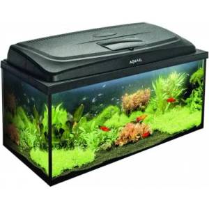 AQUAEL Аквариум AquaEl SET Classic PROMO BOX 80 PAP (6732)