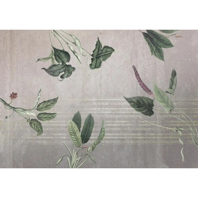 INX8-050 Fototapeta vliesová Tropic Concrete rozměry 400x280 cm