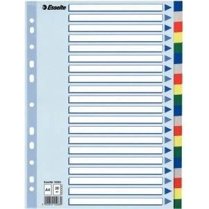 Esselte Binder holders A4 plastic 20 cards (10K217C)