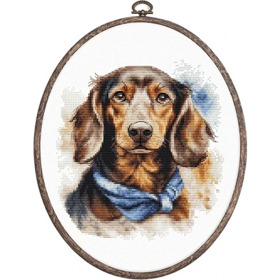 Luca-S Дакел - гоблен по схема bc222