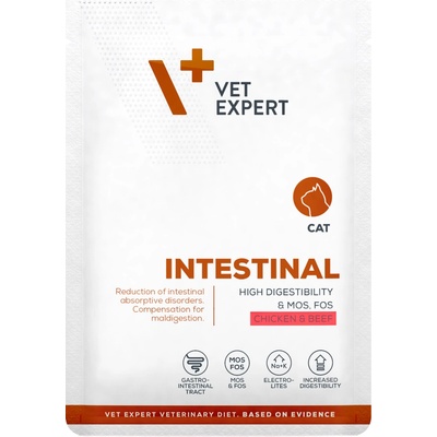 VetExpert Veterinary Diet 4T Intestinal Cat 100 g