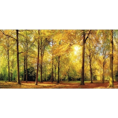 Obraz na plátne Sunset in forest III 100x50 cm