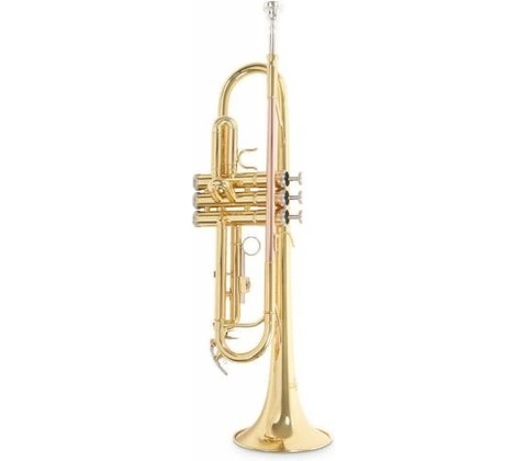 ROY BENSON TR-101