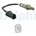 DELPHI ES21106-12B1