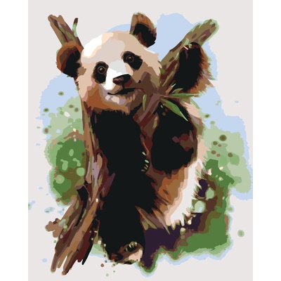 Zuty Malování podle čísel PANDA NA VĚTVI