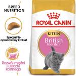 Royal Canin British Shorthair Kitten 2 кг суха храна за котенца, до 12 месеца, порода британска късокосместа котка