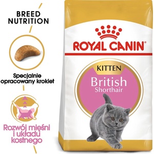 Royal Canin British Shorthair Kitten 2 кг суха храна за котенца, до 12 месеца, порода британска късокосместа котка