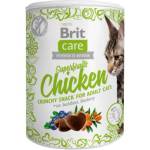 Brit CARE Снек за котки Superfruits Chicken 100g