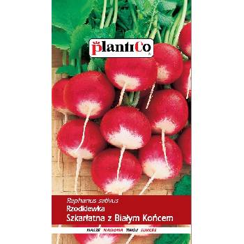 Reďkovky a reďkovky ŠARLÁTOVÉ S BIELYM KONCOM, semená 10 g