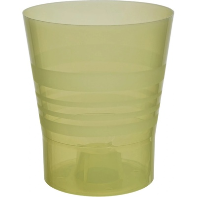 Plastkon Dekorativní Orchid 13 cm transparentní žlutá