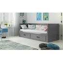 BMS Group Hermes Grafit