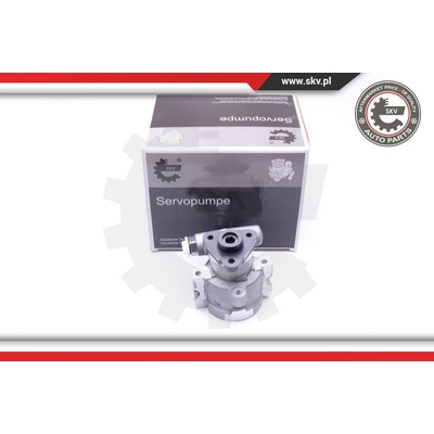 Hydraulické čerpadlo pre riadenie ESEN SKV 10SKV252