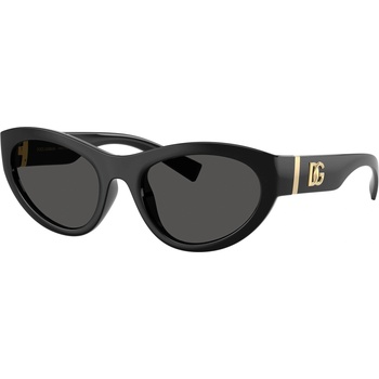 Dolce&Gabbana DG6207 501/87 (DG6207 501/87)