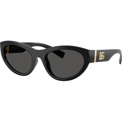 Dolce&Gabbana DG6207 501/87 (DG6207 501/87)