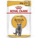 Royal Canin Cat British Shorthair 12 x 85 g