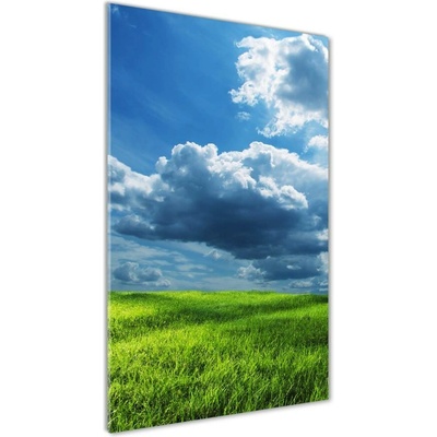 Vertikálny foto obraz sklo tvrdené Mraky nad poľom 50x100 cm