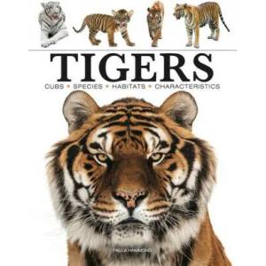 Tigers | Hammond, Paula (ISBN: 9781838862602)