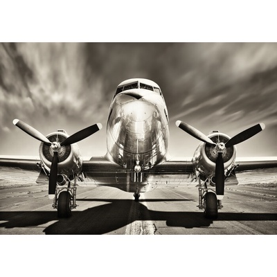 Plagát, Obraz - Aeroplane - Monochromatic, 91.5 × 61 cm