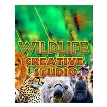 Wildlife Creative Studio