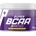 Trec Nutrition Super BCAA System Caps [300 капсули]