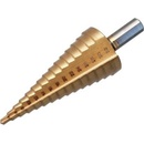 Triumf 100-01089