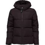 LOAP TADARIDA M - sportisimo - 117,33 лв