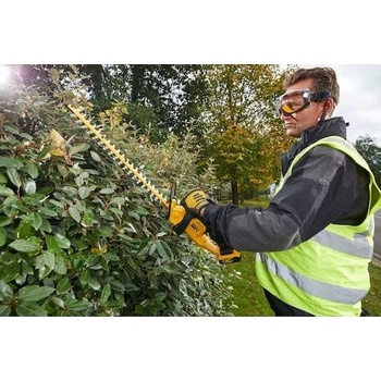 DeWALT DCM 563P1