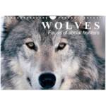 Calvendo Wolves - Faces of social hunters (Wall Calendar 2027 DIN A4 landscape), CALVENDO 12 Month Wall Calendar | Calvendo, Elisabeth Stanzer