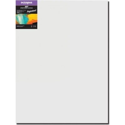 Octopus Professional malířské plátno 350 g 80 x 100 cm – Zboží Dáma